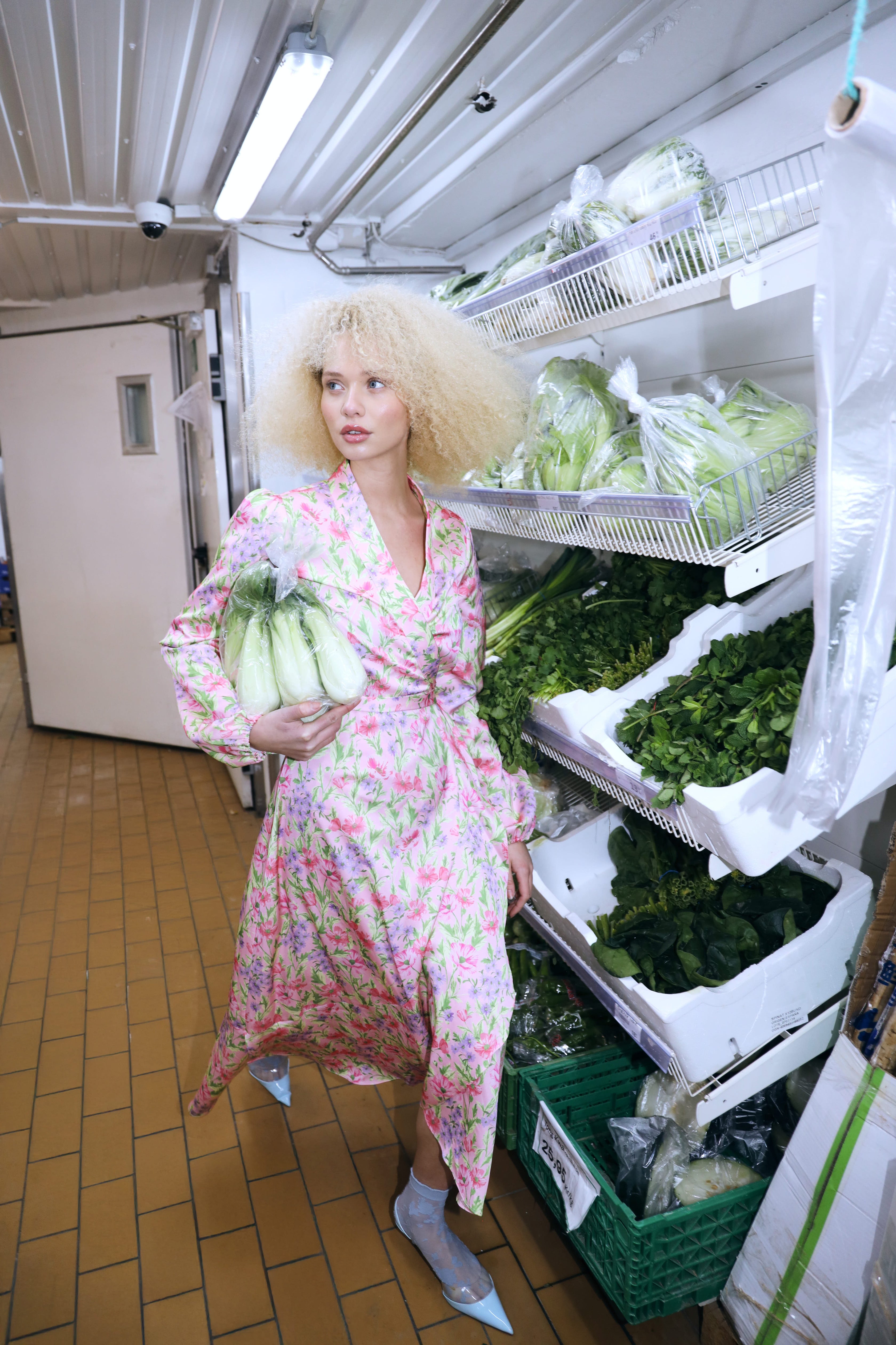 CRAS Lara Dress Dress 8147 Blossom Meadow